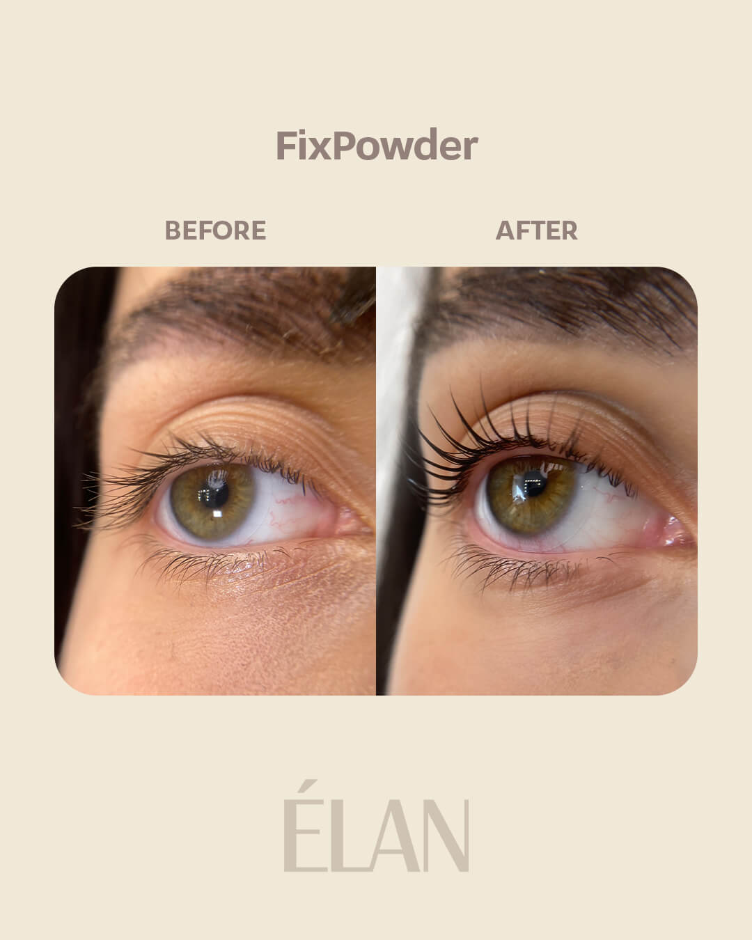 FixPowder: Lash Lift Fixing Powder